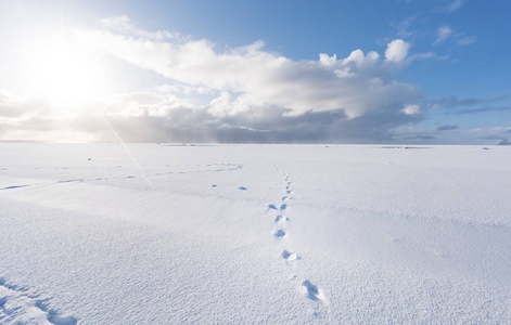 脚印在深雪覆盖的景观
