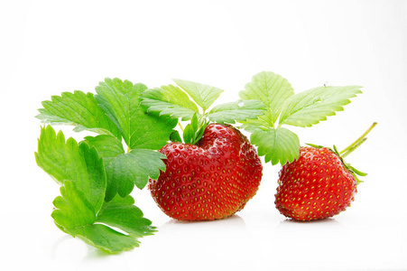 新鲜的 成熟的 多汁的 令人垂涎的草莓，绿色的叶子
