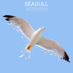 海鸥低聚设计照片