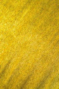 金纸纹理背景照片