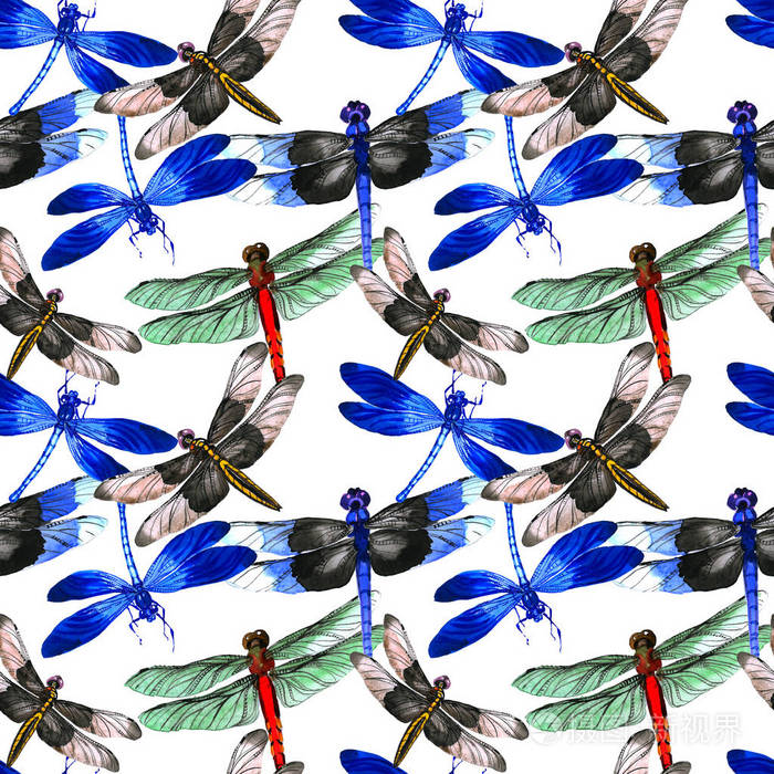在孤立的水彩风格昆虫蜻蜓图案