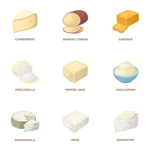 干酪 羊乳干酪 马斯丹 高达。不同类型的奶酪在卡通风格矢量符号股票图 web 设置集合图标