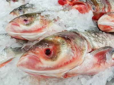 在超市的冰上特写新鲜中国鲤鱼鱼