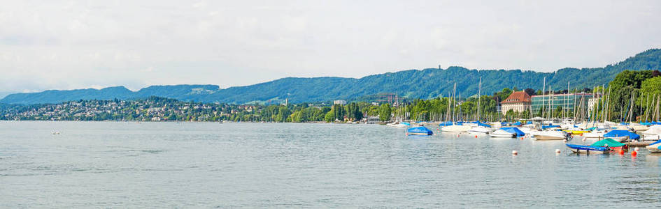 苏黎世湖全景