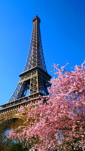在春天 巴黎 法国的埃菲尔铁塔
