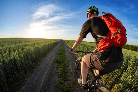后视图和特写的夏天在路上骑自行车的人骑山地自行车