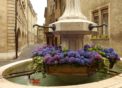 花街老城市日内瓦，至尊的喷泉