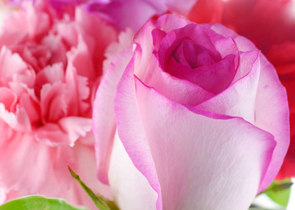 背景由粉色的玫瑰和康乃馨组成