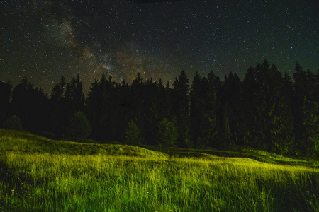 景观的树和天空中的星星的夜晚图片