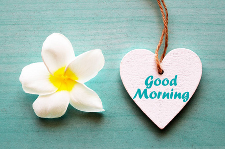 早上好各位禽兽图片