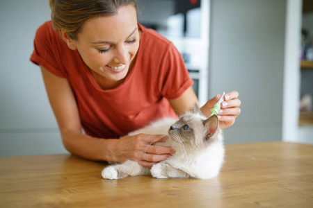 女人注射猫