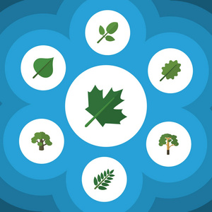 平面图标套自然桤木 胡桃木 相思叶和其他矢量对象。此外包括树 橡树 叶元素