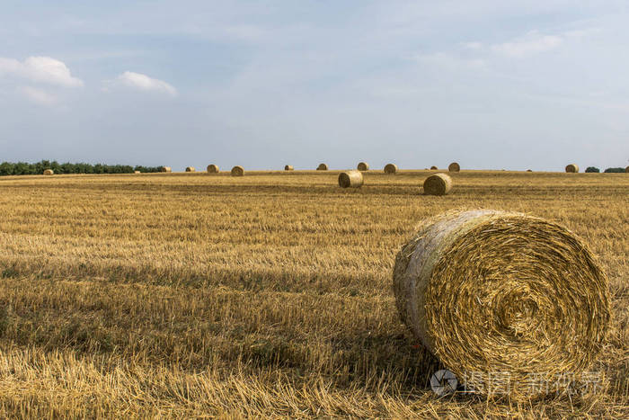 在夏天德国附近 Andernach 收获用稻草场农业