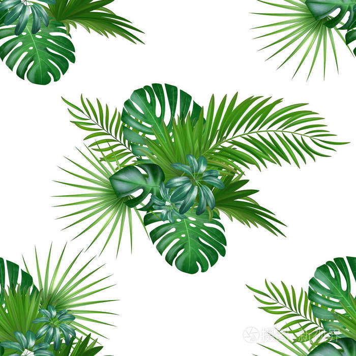 热带丛林植物背景.
