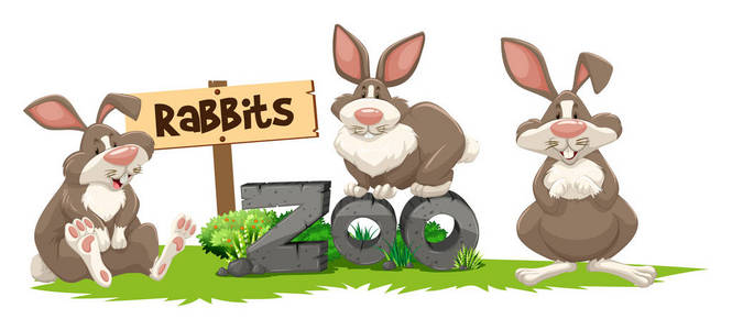 在动物园里三只兔子签署图片