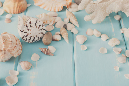 贝壳在蓝色木，海度假背景