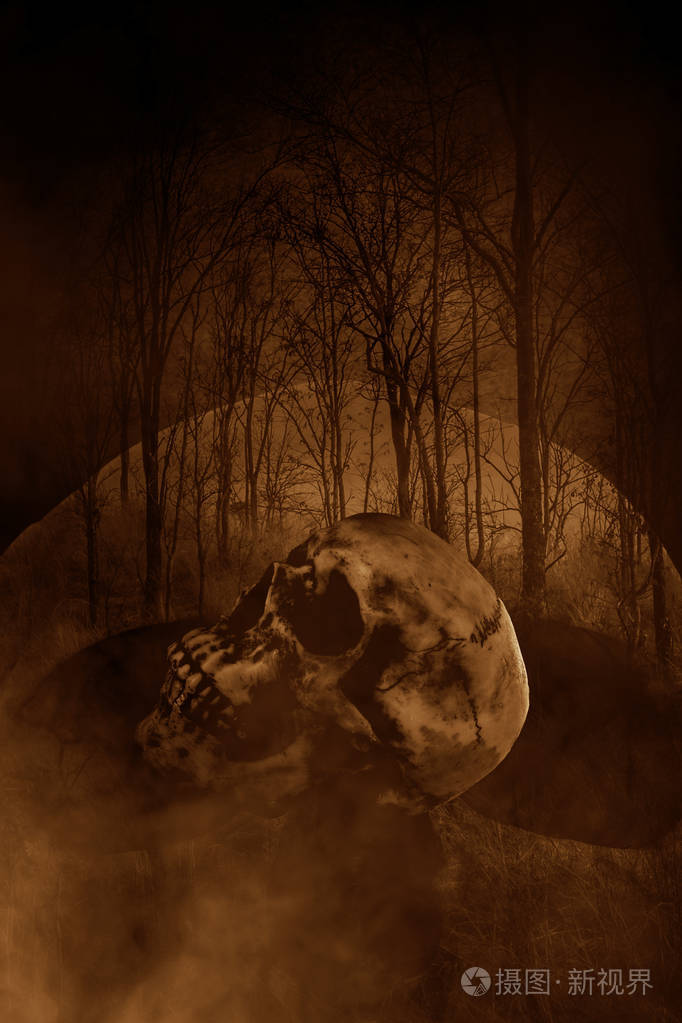 人类的头颅骨在闹鬼的森林里,恐怖概念背景