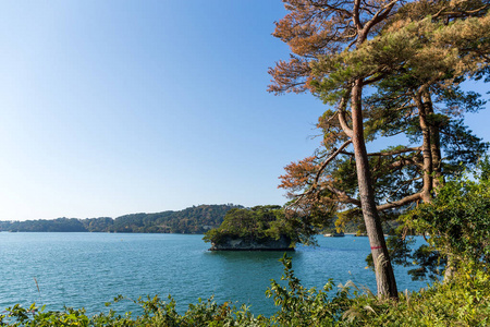 在日本的美丽松岛群岛。