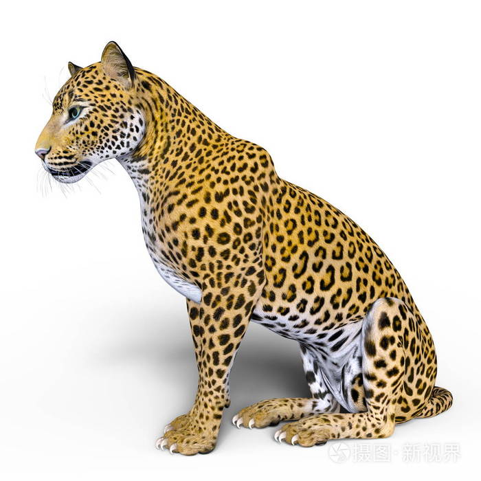一只豹的 3d cg 渲染.