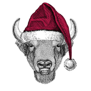 水牛，野牛 牛，公牛圣诞插画野生动物穿圣诞圣诞老人帽子红色冬季假期图片新年快乐