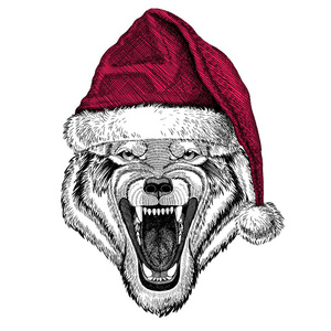 狼的狗野生动物圣诞节插图野生动物穿圣诞圣诞老人帽子红色冬天帽子假期图片快乐新的一年
