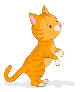 红虎斑小猫.卡通矢量点检照片