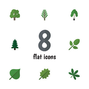 平面图标生态集的装饰树 胡桃木 枫木和其他矢量对象。此外包括公园 桤木 丛林元素