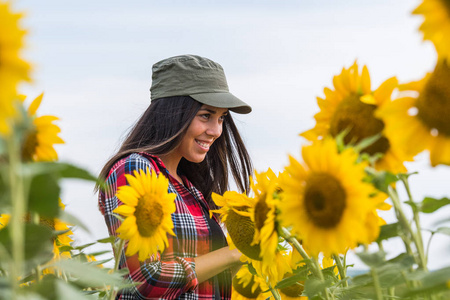 美丽的年轻农夫女孩检查作物领域的向日葵