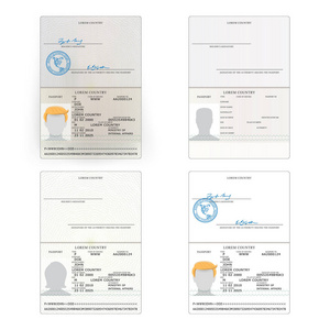 国际护照集的向量。个人数据的示例页。国际身份证明文件。商务，旅游概念