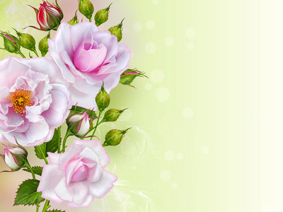 花卉的背景。问候明信片，柔和的色调，旧的风格。粉红色的玫瑰花的插花作品