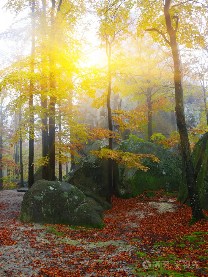 秋天的森林山中