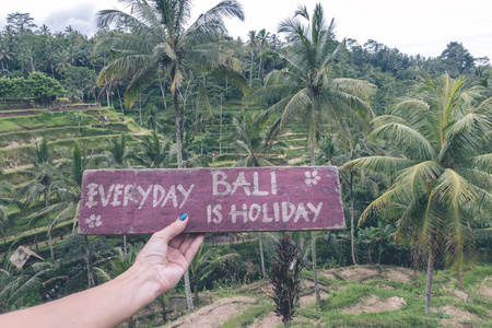 木制铭牌与文本日常巴厘岛是 parardise 的度假的女人手上，印度尼西亚巴厘岛的热带水稻梯田背景