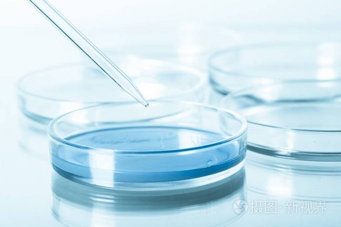 空培养皿
