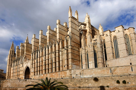 大教堂 La Seu 在马略卡岛