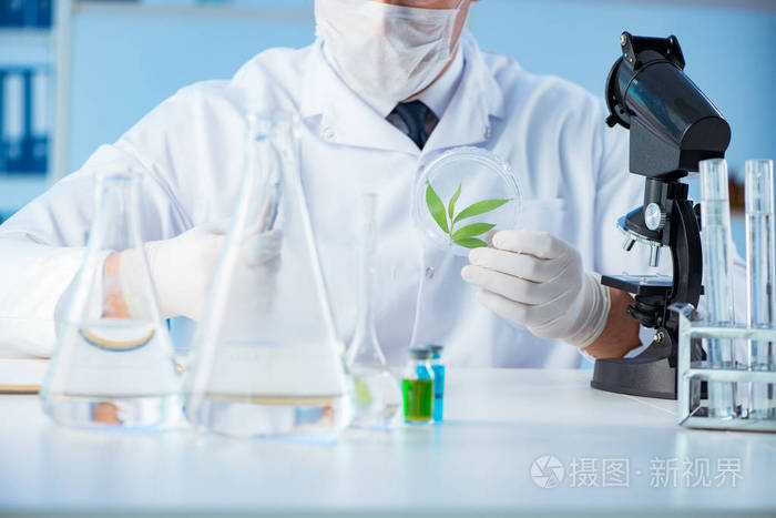 科学家在实验室里的生物技术概念照片-正版商用图片0u7sc0-摄图新视界