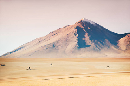 萨尔瓦多  达利沙漠高原，玻利维亚高原