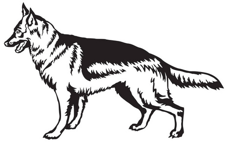 狗德国牧羊犬矢量点检装饰站肖像照片