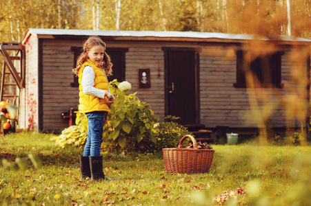快乐的孩子女孩玩小园丁在秋天和采摘叶子放在篮子里。季节性花园工作