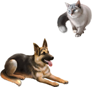 灰色的小猫和小狗谢泼德德国