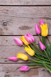 郁金香的粉红色和黄色的春天的花朵
