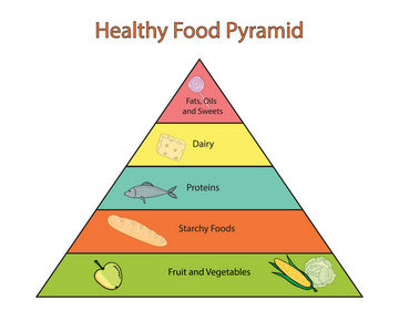 健康饮食金字塔。信息图表