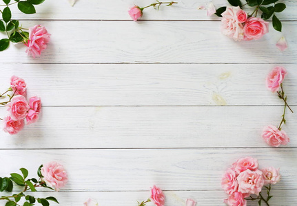 美丽的粉红色玫瑰，白色木制背景上的框架。顶视图。复制空间