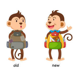 猴子和学校图片