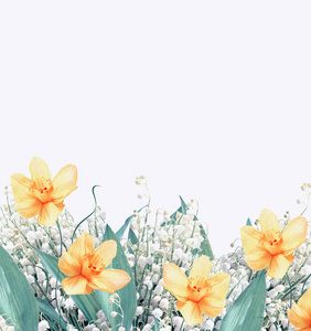 春天的花铃兰和水仙花