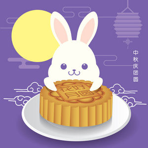 中秋的可爱的小兔子抱着一种月饼节插图。标题 一起欢度中秋佳节
