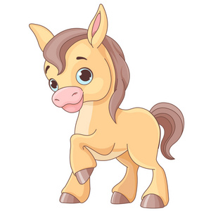 可爱的小马驹图片