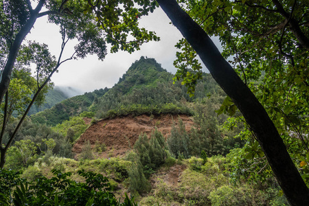 Iao 针从 2