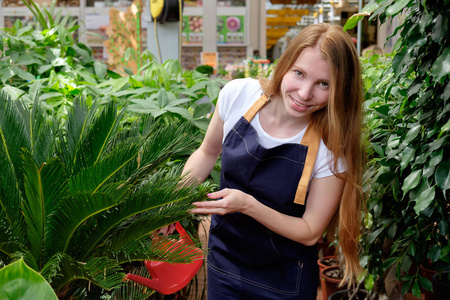 植物市场温室浇注 pl 红发年轻女工