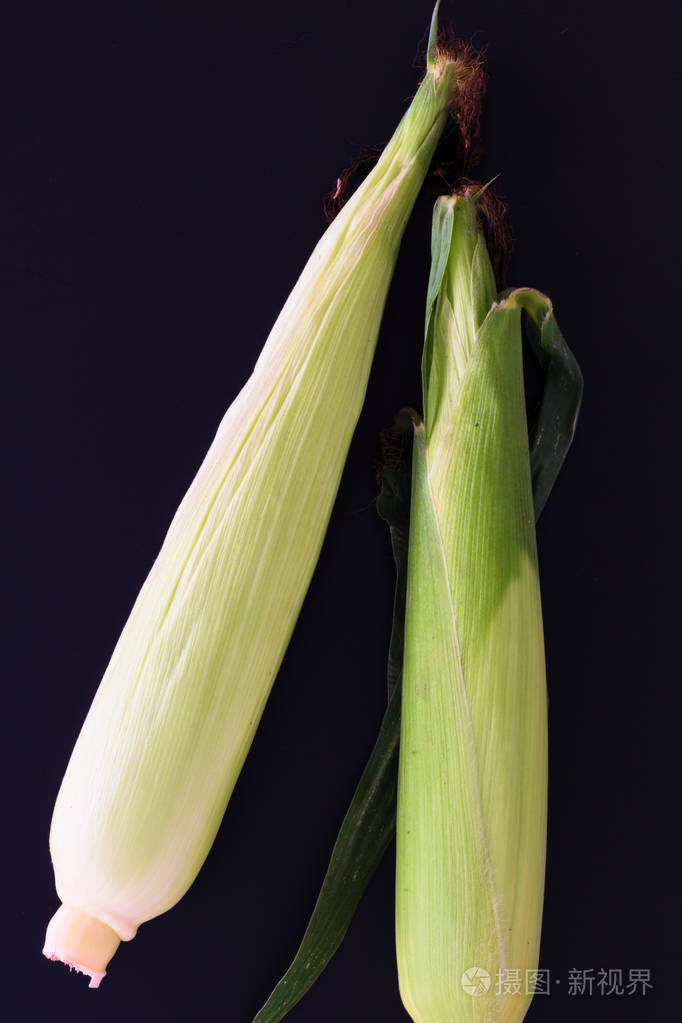 真正收获有机玉米麸皮在黑色背景中不要剥皮