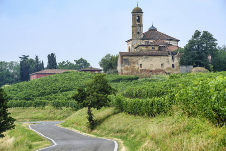 Oltrepo Piacentino 意大利，在夏天的乡村景观